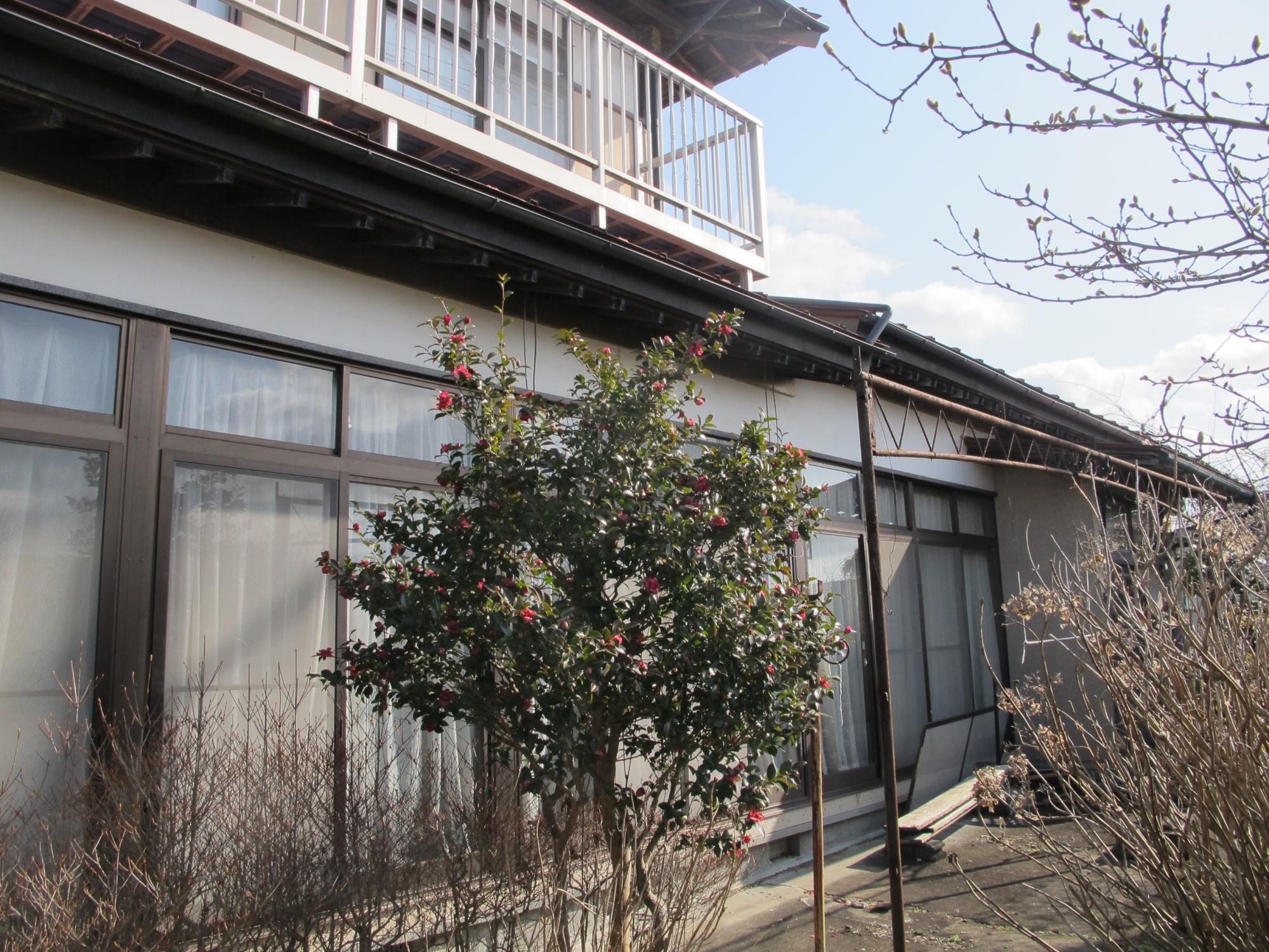 物件登録番号0171の画像